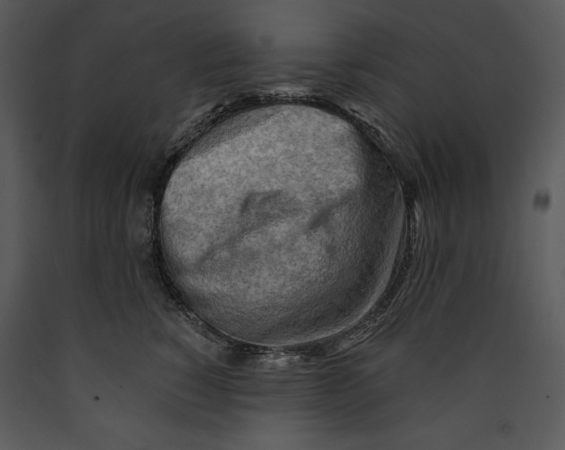 X0000089660760200707191648