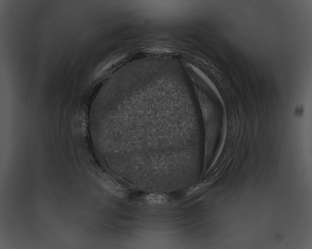 X0000089660762200707191648