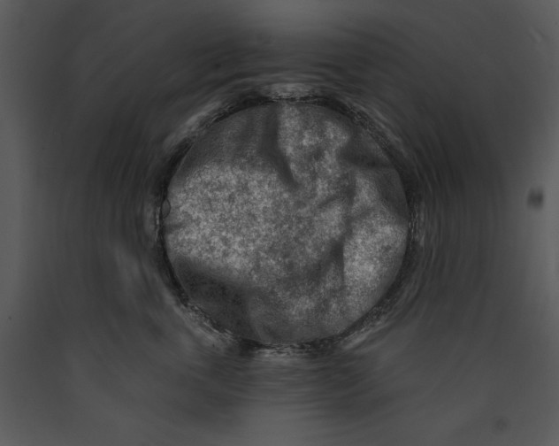 X0000089660763200707191648