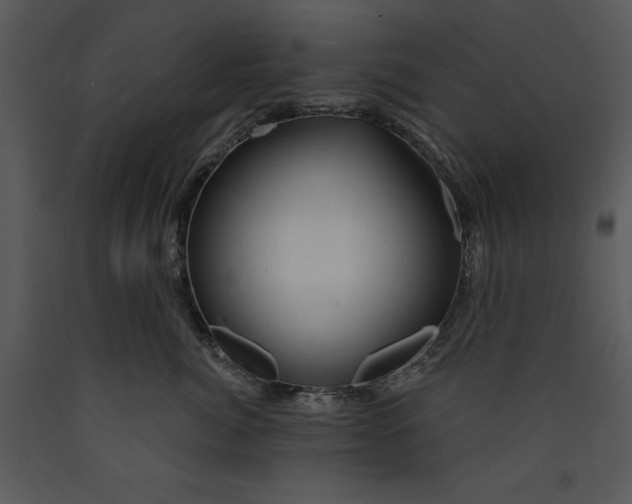 X0000089660764200707191648