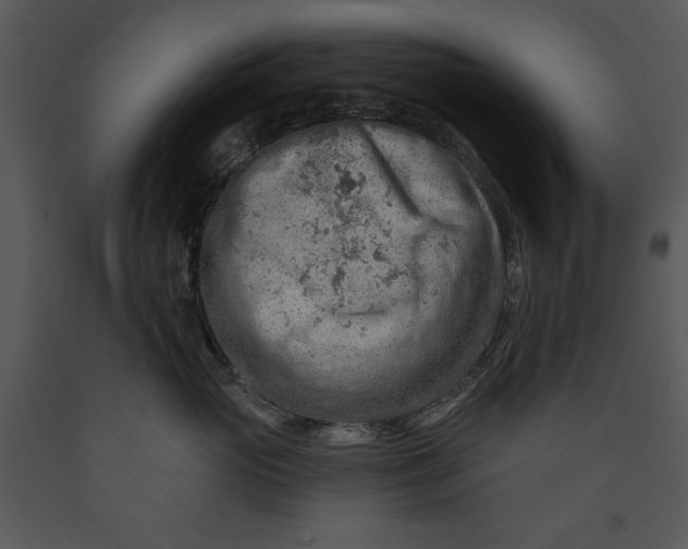 X0000089660765200707191648