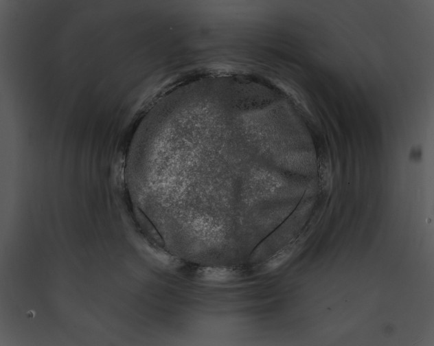 X0000089660766200707191648