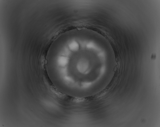 X0000089660767200707191648