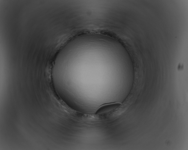 X0000089660768200707191648