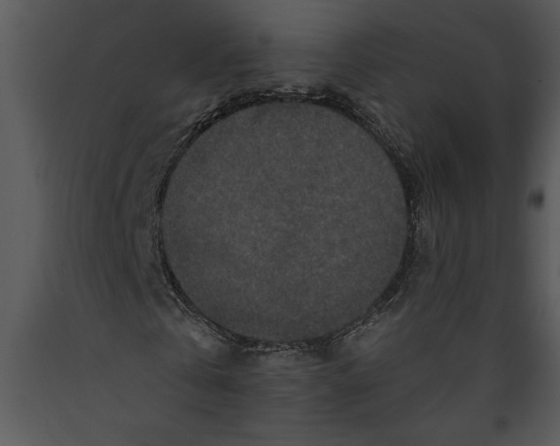 X0000089660769200707191647