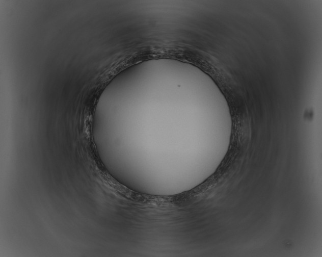 X0000089660770200707191647