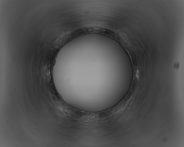 X0000089660771200707191647