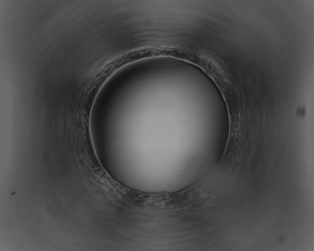 X0000089660773200707191647