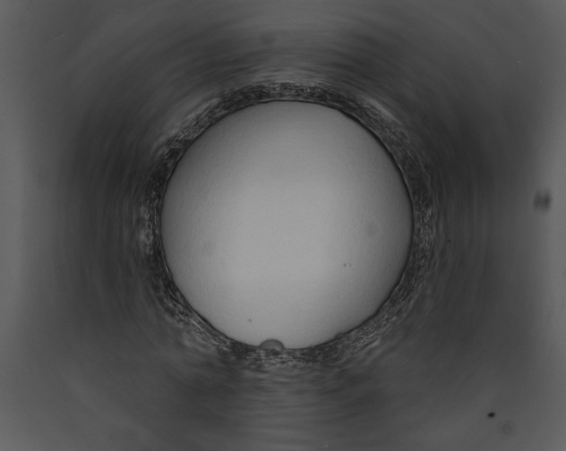 X0000089660774200707191647