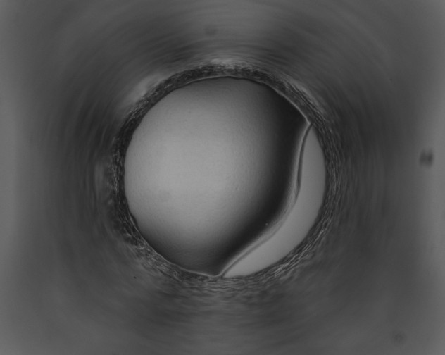 X0000089660776200707191647