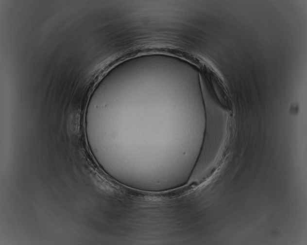 X0000089660777200707191647