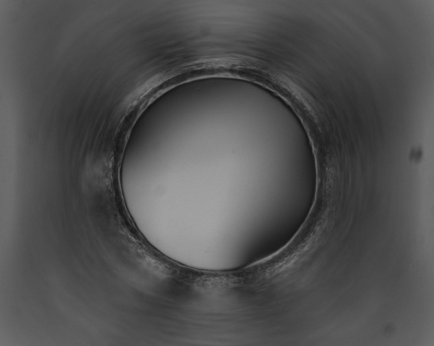 X0000089660778200707191647