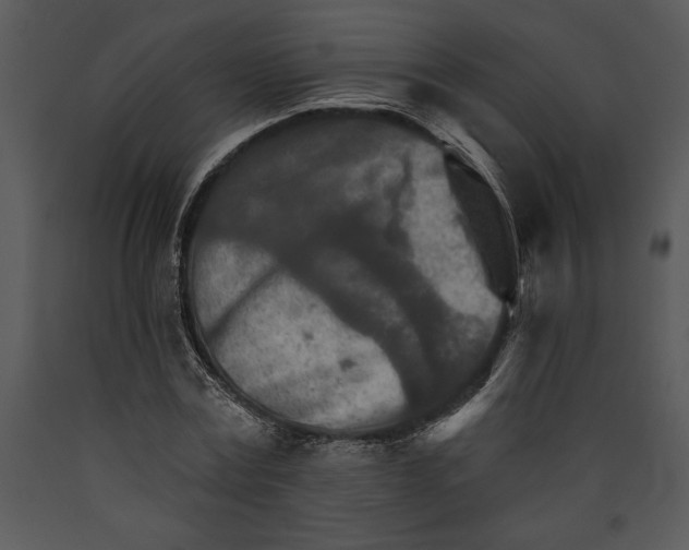 X0000089660779200707191647