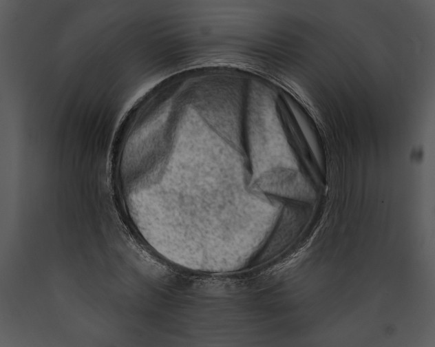 X0000089660780200707191647