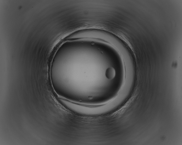 X0000089660781200707191647