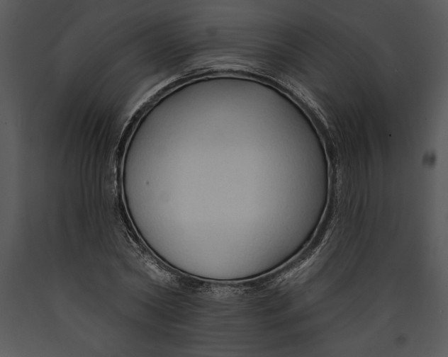 X0000089660782200707191647