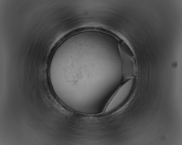 X0000089660783200707191647