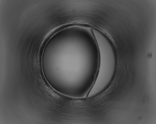 X0000089660784200707191647