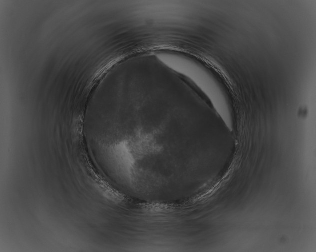 X0000089660785200707191647