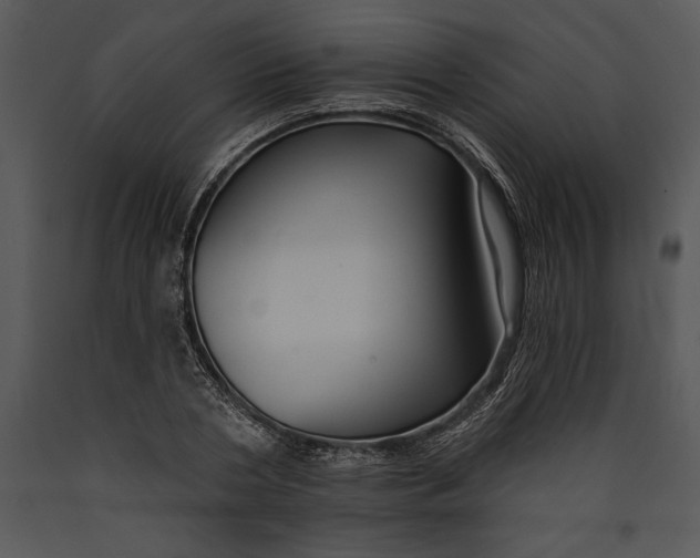 X0000089660786200707191647