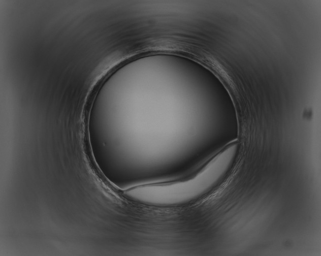 X0000089660787200707191647