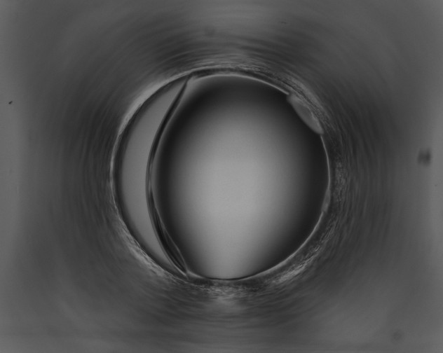 X0000089660788200707191647