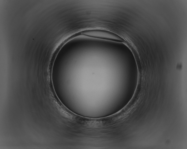 X0000089660789200707191647