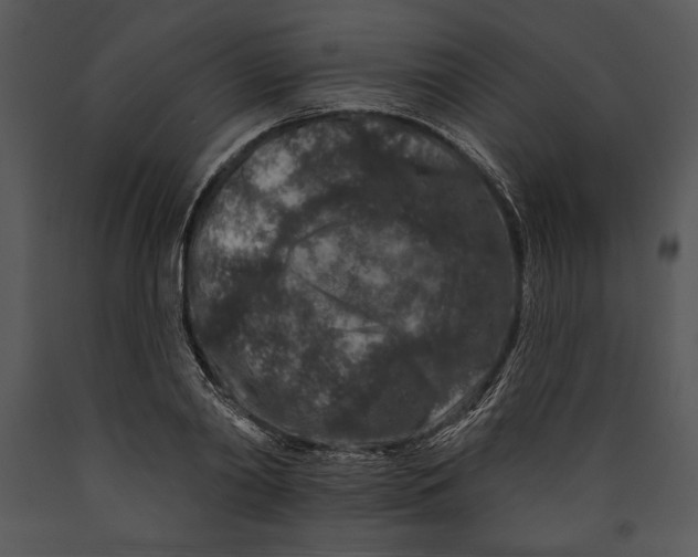 X0000089660790200707191647