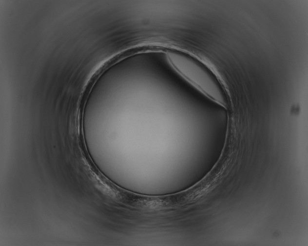 X0000089660791200707191647