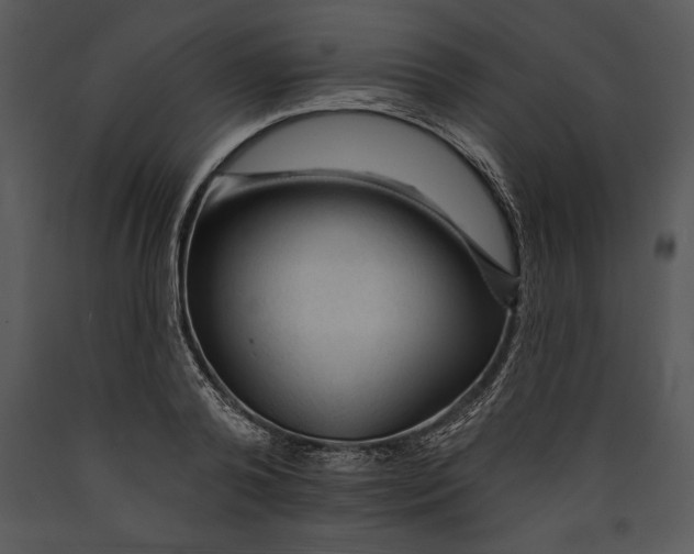 X0000089660792200707191647