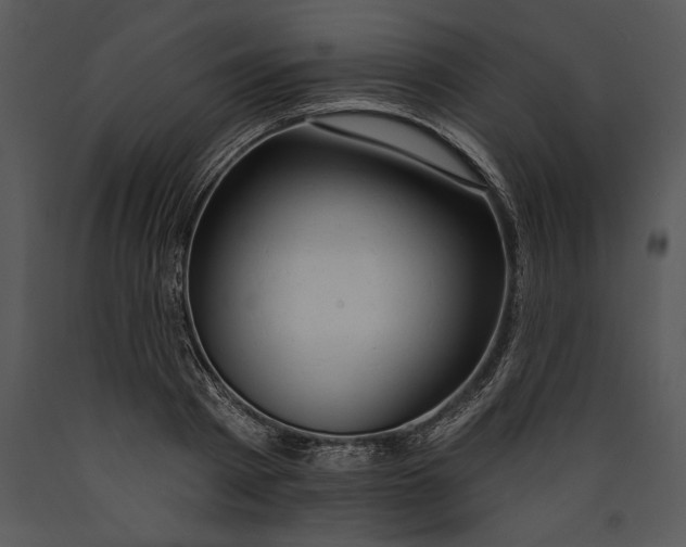 X0000089660793200707191647