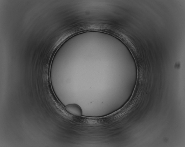 X0000089660794200707191647