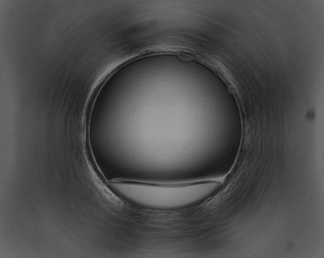 X0000089660795200707191647