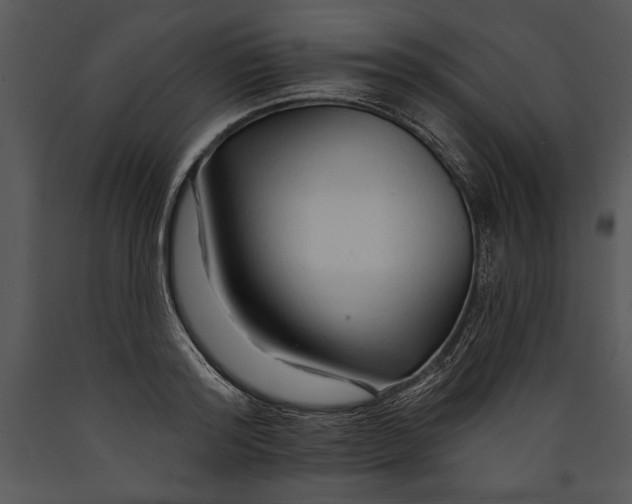 X0000089660796200707191647