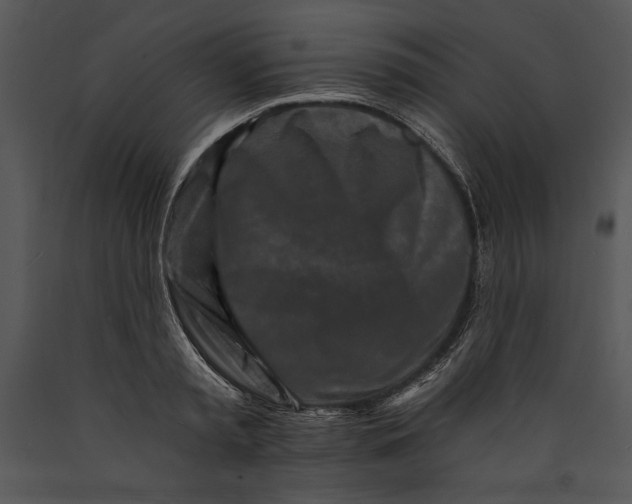 X0000089660797200707191647