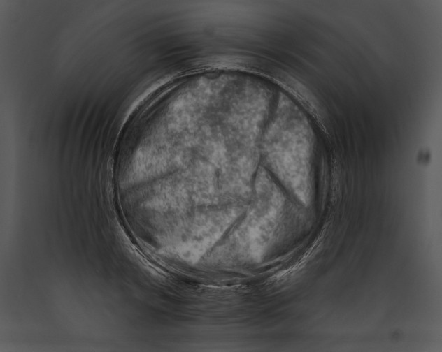 X0000089660798200707191647