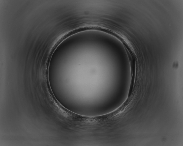X0000089660799200707191647