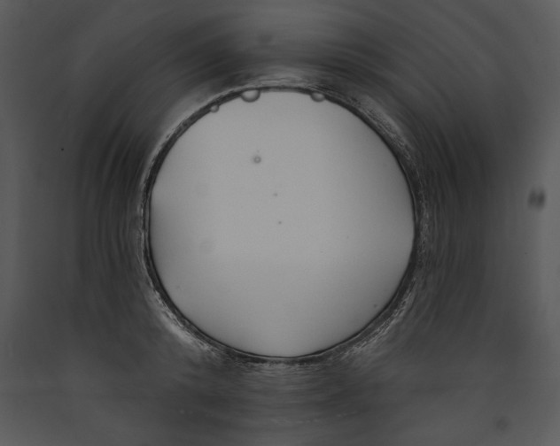X0000089660800200707191647