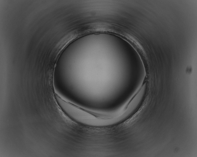 X0000089660801200707191647
