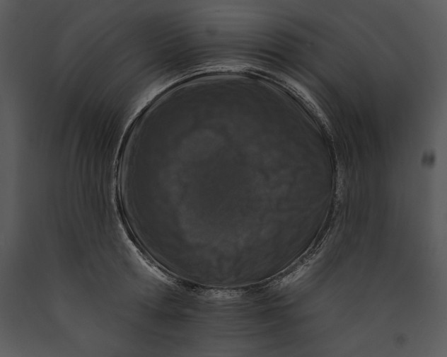 X0000089660802200707191647