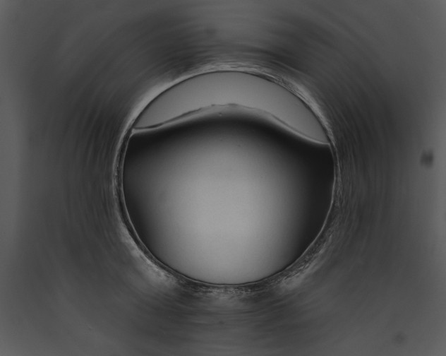 X0000089660803200707191647