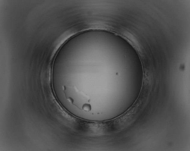 X0000089660804200707191647