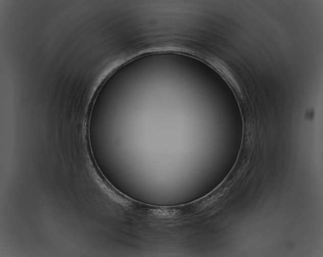 X0000089660805200707191647