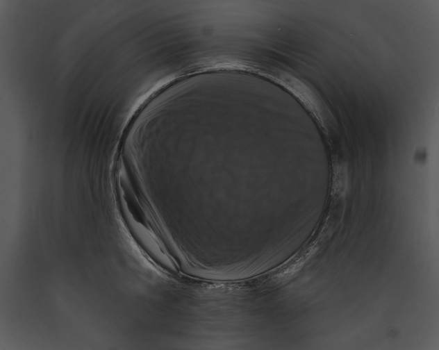 X0000089660806200707191647