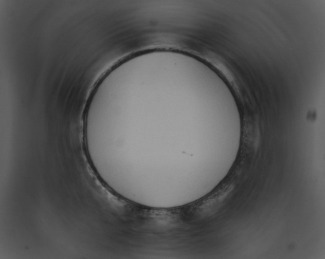 X0000089660807200707191647