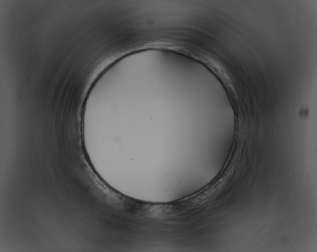 X0000089660808200707191647