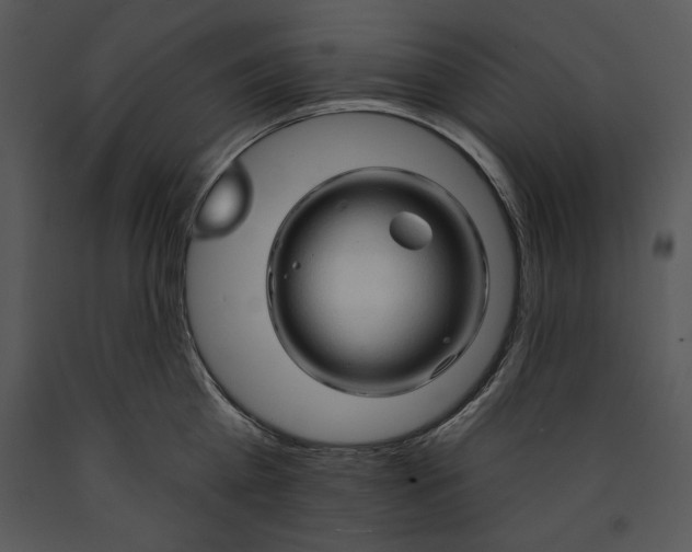 X0000089660809200707191647