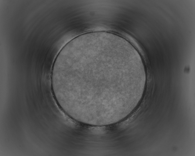 X0000089660810200707191647