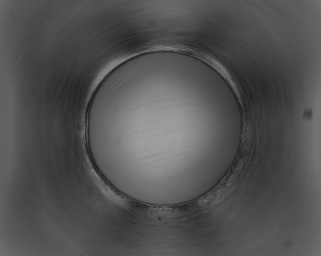 X0000089660811200707191647