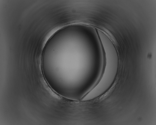X0000089660812200707191647